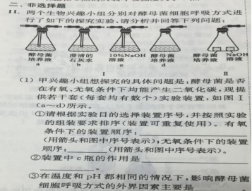 6.16-生物-探究酵母菌的呼吸方式