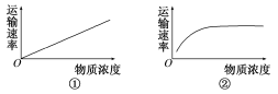 细胞的物质输入和输—典型例题