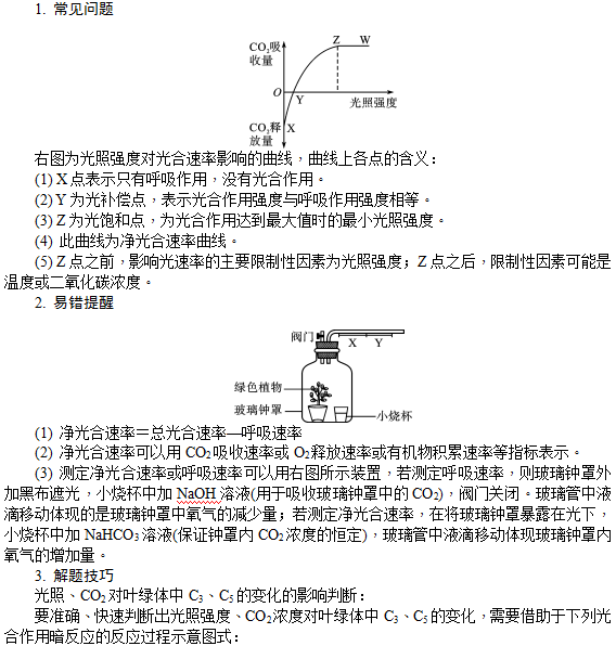 能量之源——光与光合作用—重点突破