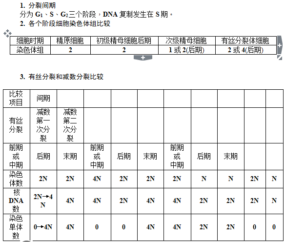 减数分裂和受精作用—知识提炼