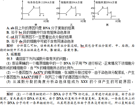 减数分裂和受精作用—典型例题