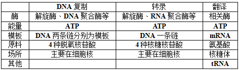 遗传信息的传递和表达—知识提炼