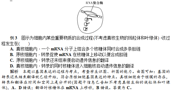 遗传信息的传递和表达—典型例题