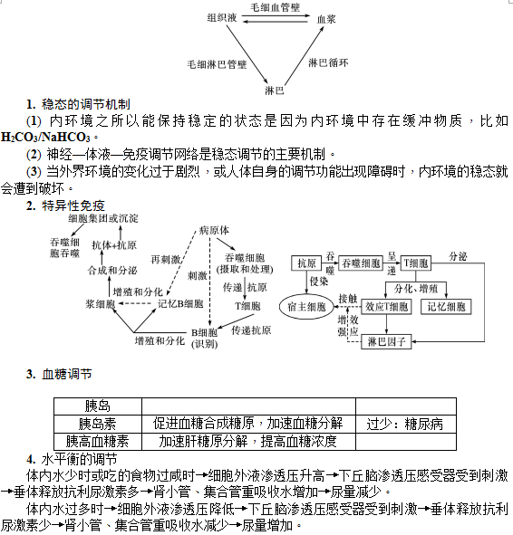 人体的稳态与免疫调节—知识提炼