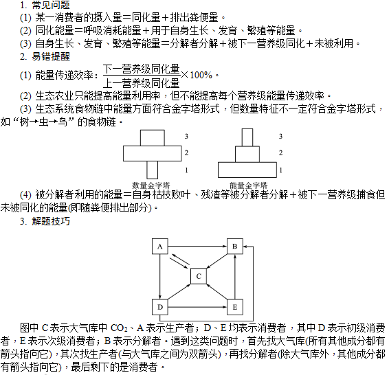 生态系统的结构和功能—重点突破