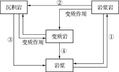 自然环境中的物质运动和能量交换