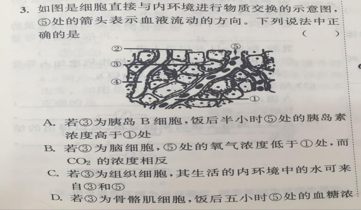 8.15-生物-胰岛素