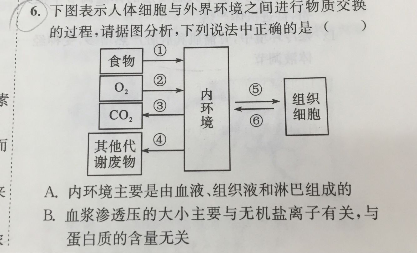 8.15-生物-细胞和膜