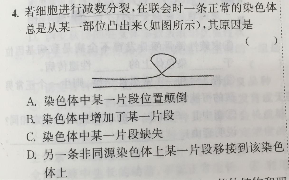 8.22-生物-染色体