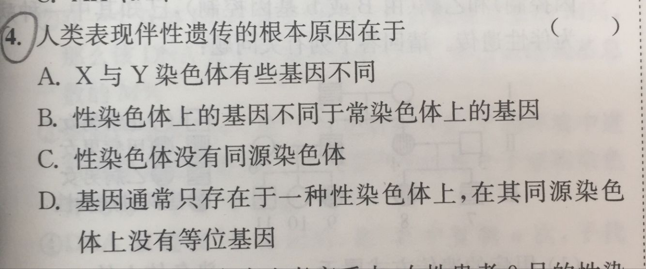 2.13-生物-染色体