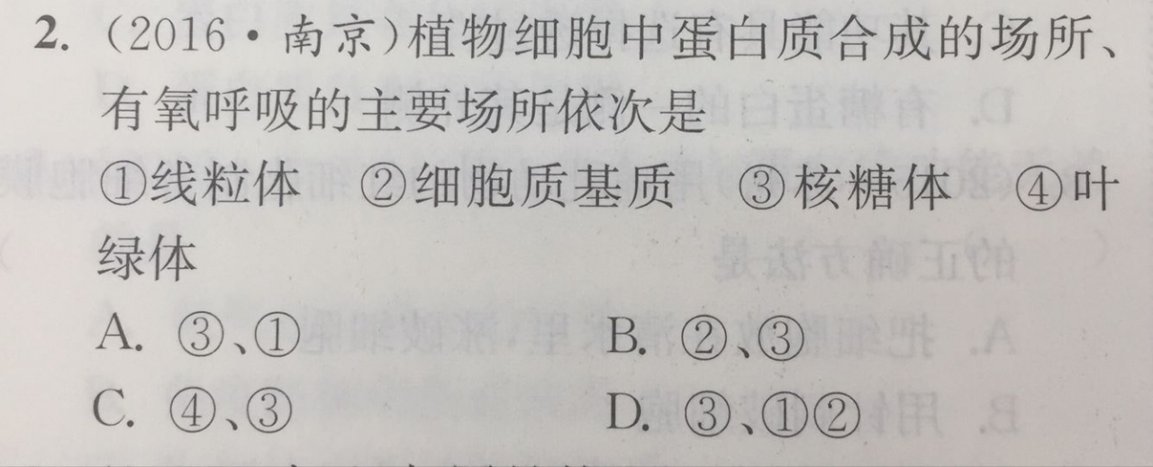3.1-生物-线粒体