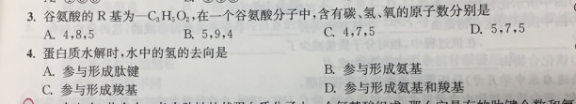 9.25-生物-蛋白质的水解
