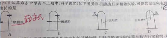 2019.10.21解题帮同步生物答疑