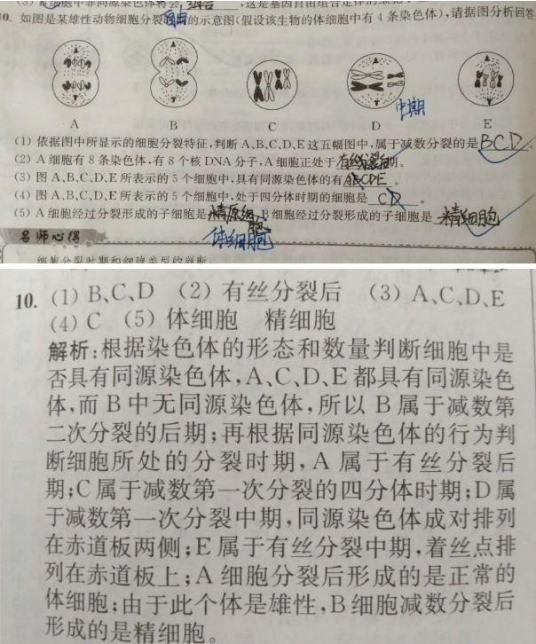 20.8.3《高中生物小题狂做必修二》答疑