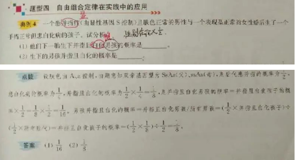 20.8.6《高中生物小题狂做必修二》答疑