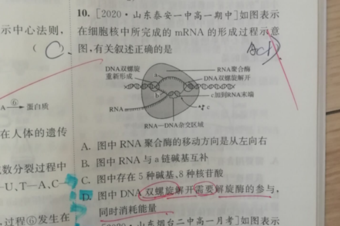 22.2.25《高中生物必修二》答疑