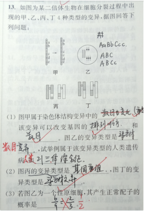 22.5.12《高中生物必修2RJ》答疑